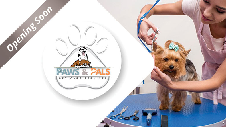 paws&pals
